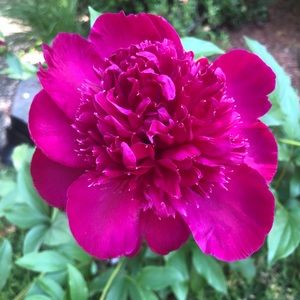 Meet your Posher, Sherry